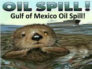 Gulf of Mexico Oil Spill!