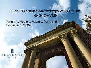 High Precision Spectroscopy of CH 5 + with NICE-OHVMS