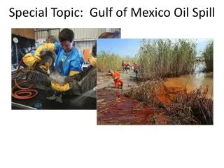Special Topic: Gulf of Mexico Oil Spill