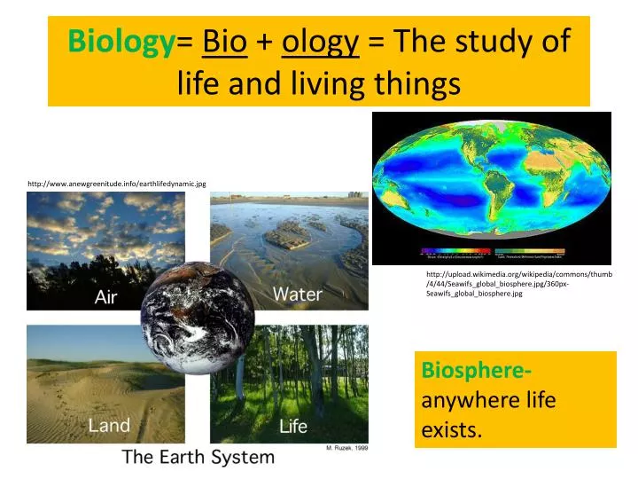 biology bio ology the study of life and living things