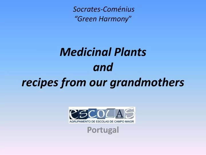 socrates com nius green harmony medicinal plants and recipes from our grandmothers
