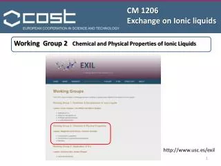 CM 1206 Exchange on Ionic liquids