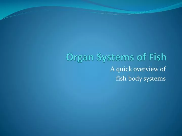 organ systems of fish