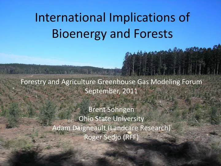 international implications of bioenergy and forests