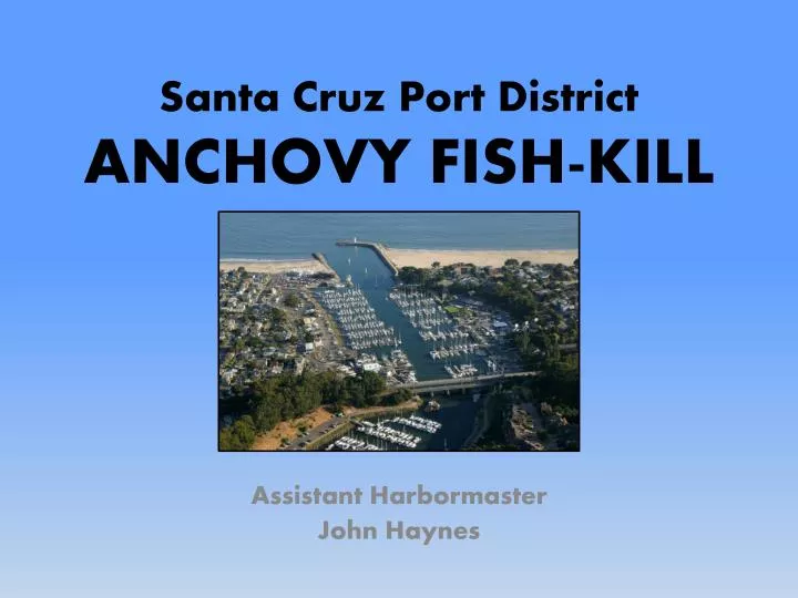 santa cruz port district anchovy fish kill