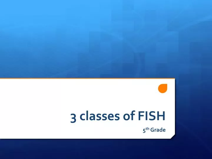 3 classes of fish