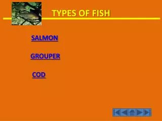 TYPES OF FISH