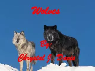 Wolves