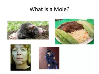 What Is a Mole?