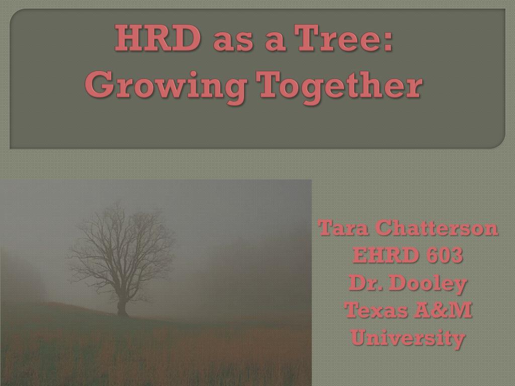 Hro Tree PPT - HRD as a Tree: Growing Together PowerPoint Presentation, free ...