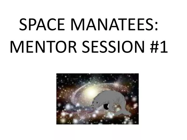 space manatees mentor session 1