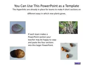 Learn a Little About New Plants You Can Use This PowerPoint as a Template