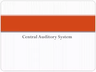 Central Auditory System