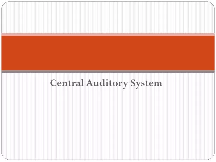 central auditory system