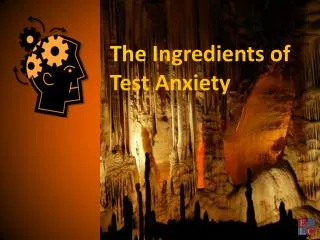 The I ngredients of Test Anxiety