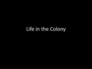 Life in the Colony