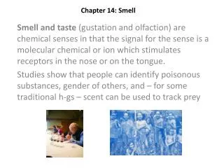 Chapter 14: Smell