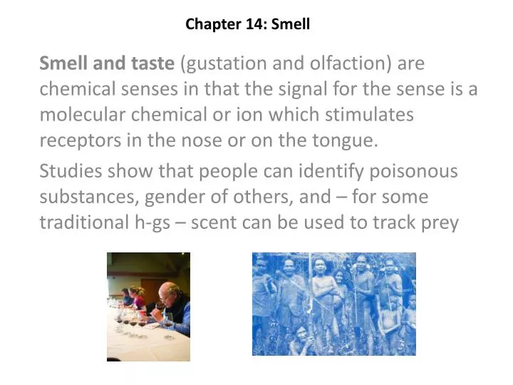 chapter 14 smell