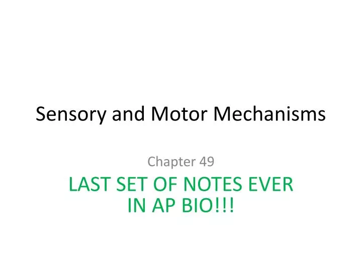 sensory and motor mechanisms