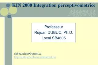kin 2000 int gration perceptivomotrice