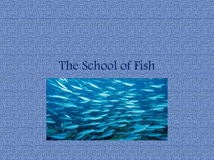 the school of fish