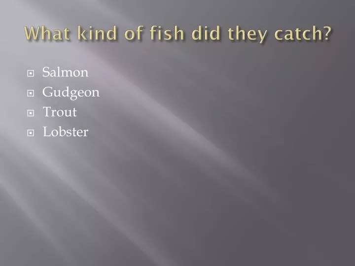 what kind of fish did they catch