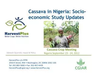 Cassava in Nigeria: Socio-economic Study Updates