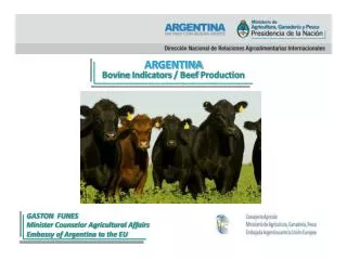 ARGENTINA Bovine Indicators / Beef Production