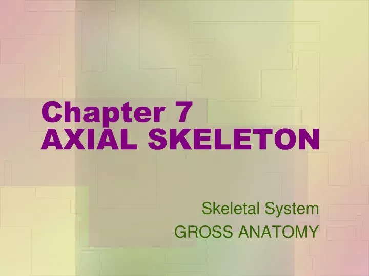 chapter 7 axial skeleton