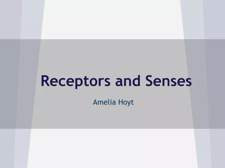 receptors and senses