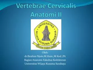 vertebrae cervicalis anatomi ii