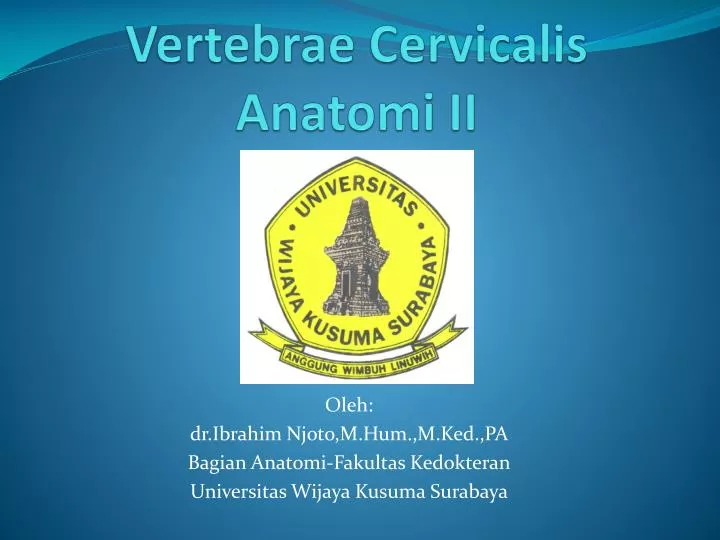 vertebrae cervicalis anatomi ii