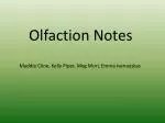 Olfaction Notes - slide 1