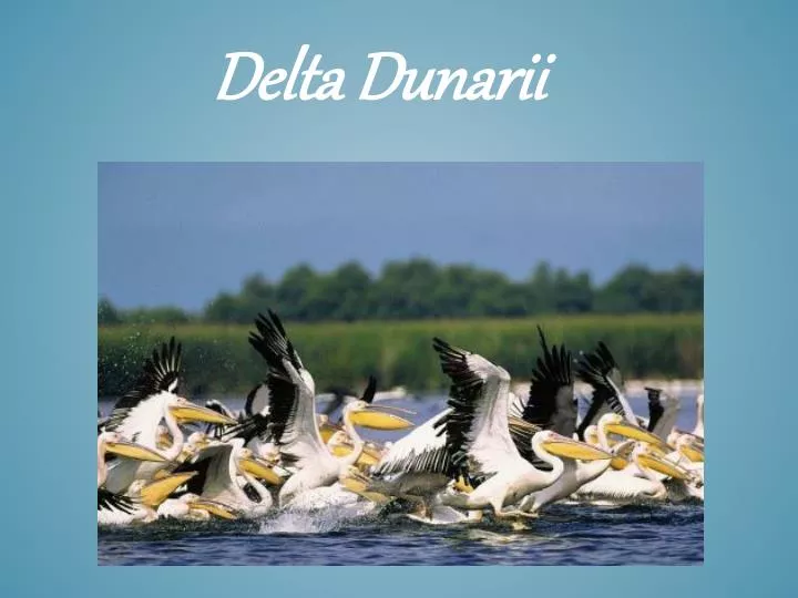 delta dunarii