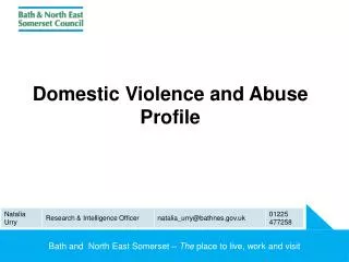 Domestic Violence and Abuse Profile