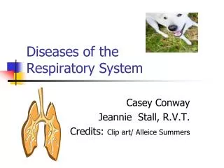 Diseases of the Respiratory System