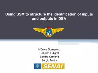 using ssm to structure the identification of inputs and outputs in dea