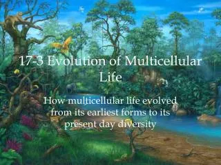 17-3 Evolution of Multicellular Life