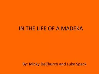 IN THE LIFE OF A MADEKA