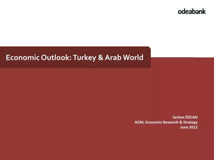 economic outlook turkey arab world