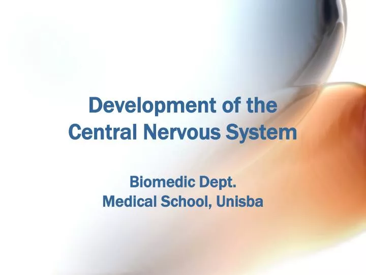 development of the central nervous system biomedic dept medical school unisba
