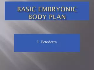 Basic embryonic body plan
