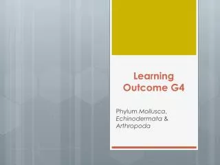 Learning Outcome G4