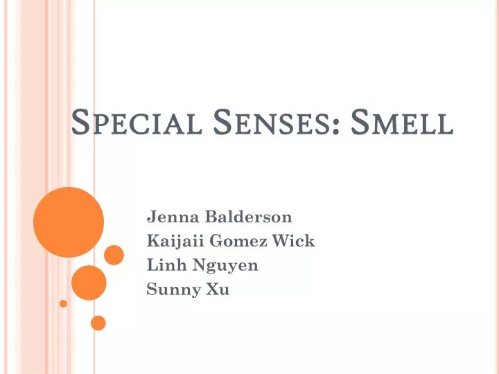 special senses smell
