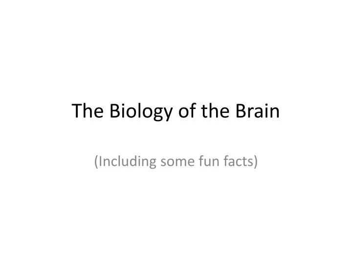 the biology of the brain