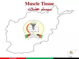 muscle tissue