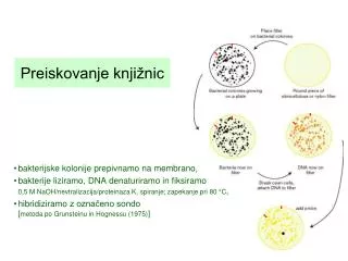 preiskovanje knji nic