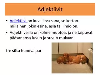 adjektiivit