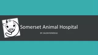 Somerset Animal Hospital