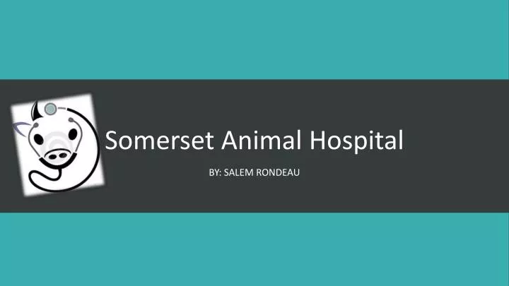 somerset animal hospital